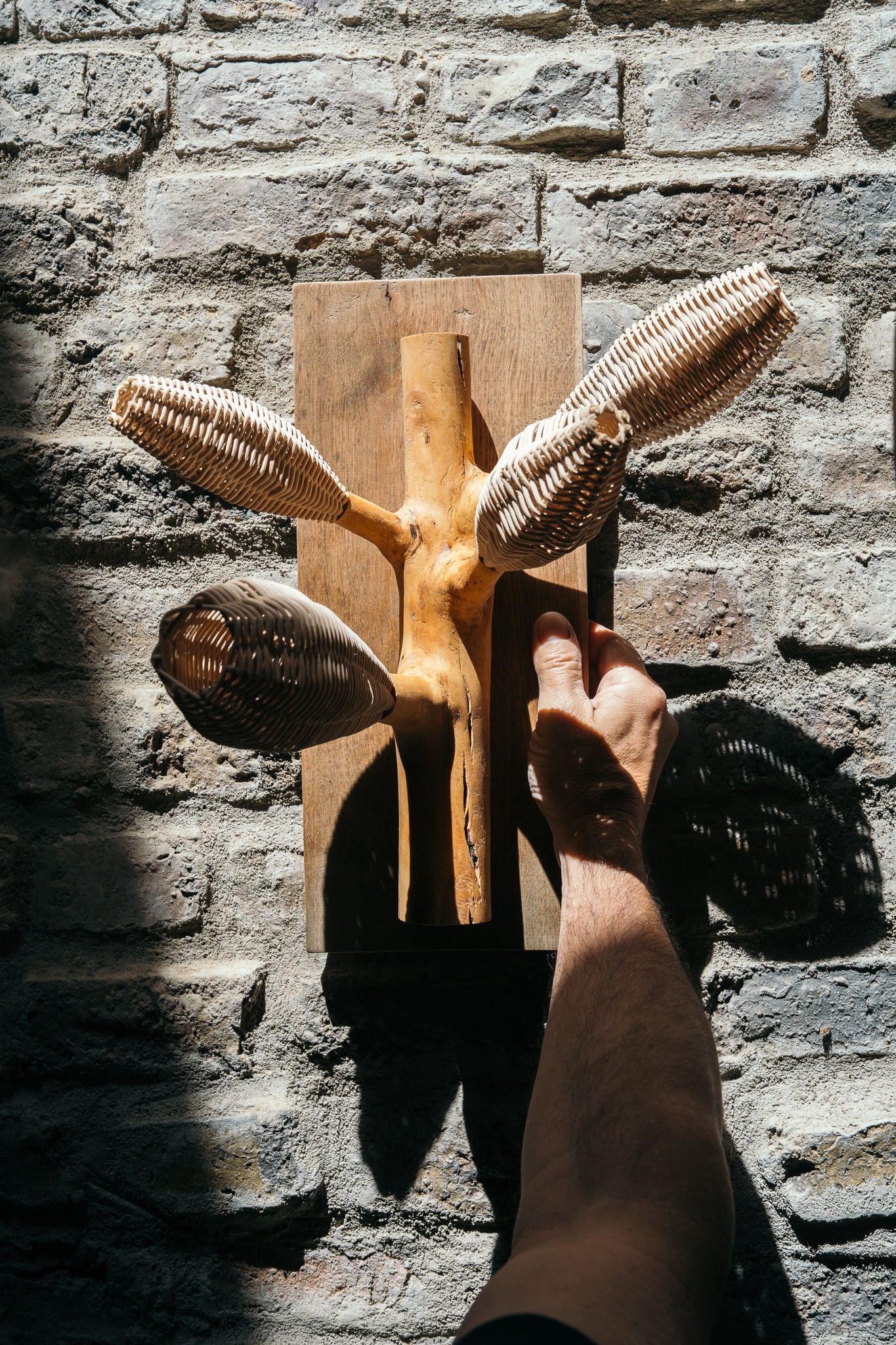 Charakterstudie aus Holz